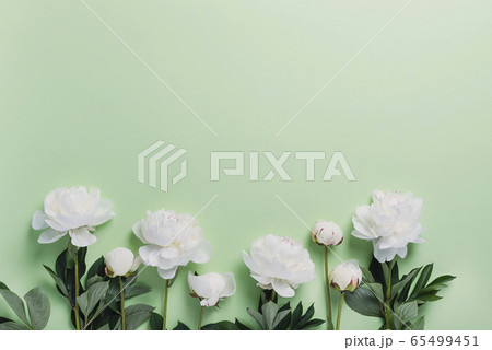 White elegant peony on the green background 65499451