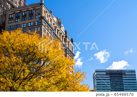 《ニューヨーク》バッテリーパーク周辺・ロウアーマンハッタンの街並み 65499570
