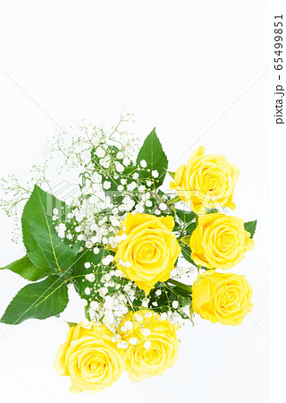 父の日の黄色い薔薇 65499851