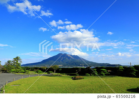 名勝「仙巌園」と桜島 名勝「仙巌園」と桜島 65500216