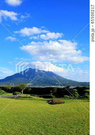 名勝「仙巌園」と桜島 名勝「仙巌園」と桜島 65500217