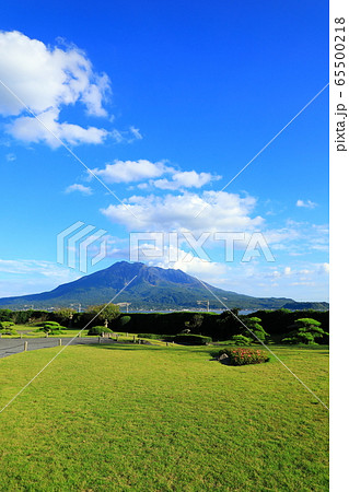名勝「仙巌園」と桜島 65500218