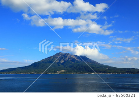 名勝「仙巌園」と桜島 名勝「仙巌園」と桜島 65500221