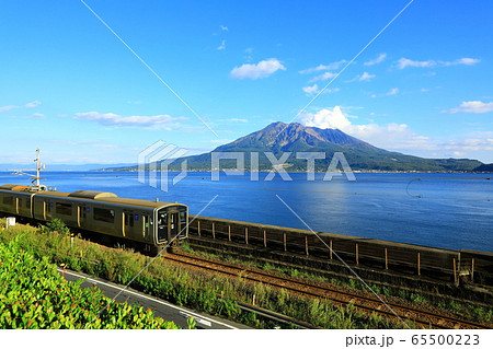 名勝「仙巌園」と桜島 名勝「仙巌園」と桜島 65500223
