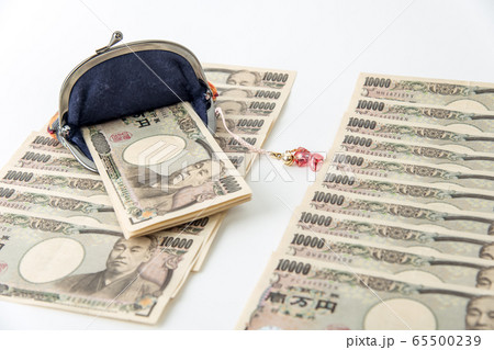 【緊急経済対策　十万円　お財布】 65500239