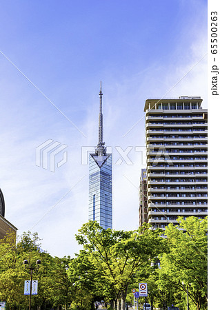 サザエさん通りから見た美しい福岡タワー 65500263