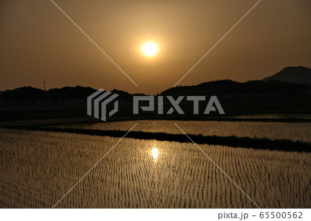 初夏の夕日 田舎の風景7 初夏の夕日 田舎の風景7 65500562