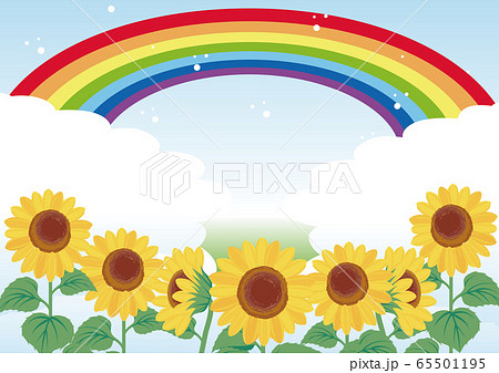 ひまわり 夏 虹 空 風景 背景 コピースペースのイラスト素材