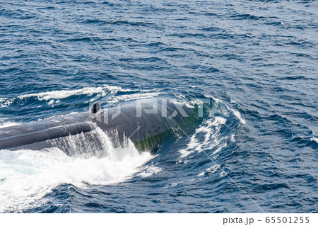 Bow of the fast attack nuclear submarine of U.S.Navy above the sea surface 65501255