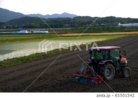 田植えの始まり　農作業の風景 65501542
