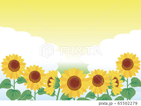 ひまわり　夏　空　風景　背景　コピースペース 65502279