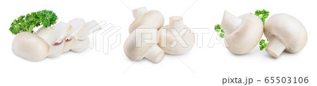 Fresh mushrooms champignon isolated on white background with clipping path and full depth of field. Set or collection 65503106