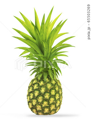 Pineapple isolated on white background 65503269
