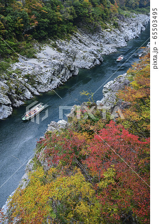 紅葉の大歩危峡 紅葉の大歩危峡 65503495