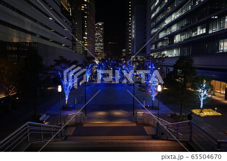 みなとみらいのクリスマスイルミネーション 65504670