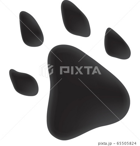 Vector illustration of dog footprint Vector illustration of dog footprint 65505824