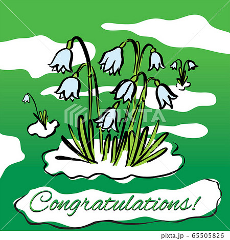 Vector illustration of spring snowdrop Vector illustration of spring snowdrop 65505826