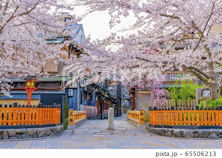 京都 春の祇園白川 巽橋 京都 春の祇園白川 巽橋 65506213