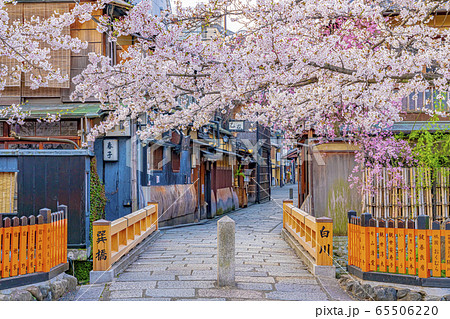 京都 春の祇園白川 巽橋　 65506220