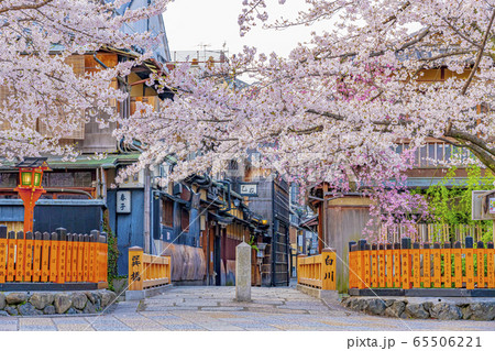 京都 春の祇園白川 巽橋　 65506221