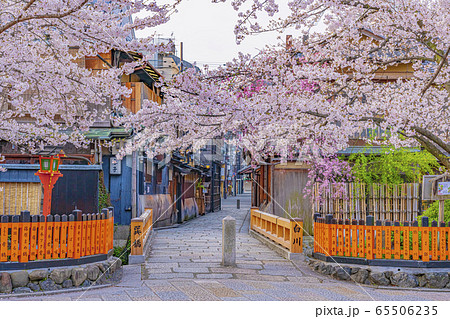京都 春の祇園白川 巽橋 京都 春の祇園白川 巽橋 65506235