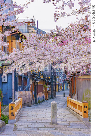 京都 春の祇園白川 巽橋　 65506240