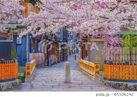 京都 春の祇園白川 巽橋　 65506242
