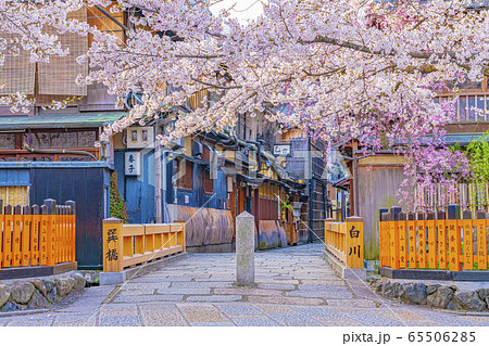 京都 春の祇園白川 巽橋 京都 春の祇園白川 巽橋 65506285