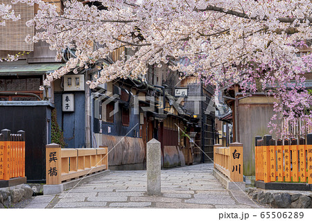 京都 春の祇園白川 巽橋 京都 春の祇園白川 巽橋 65506289