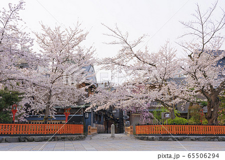 京都 春の祇園白川 巽橋　 65506294
