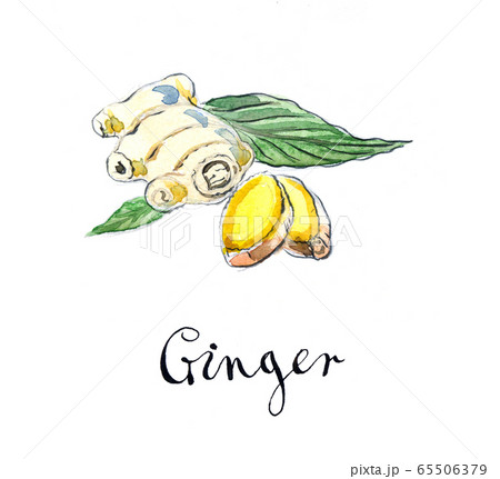 Fresh sliced ginger with leaves Fresh sliced ginger with leaves 65506379