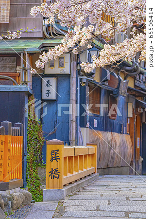 京都 春の祇園白川 巽橋  京都 春の祇園白川 巽橋  65506414