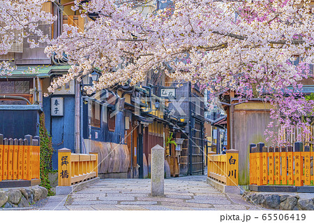 京都 春の祇園白川 巽橋  京都 春の祇園白川 巽橋  65506419