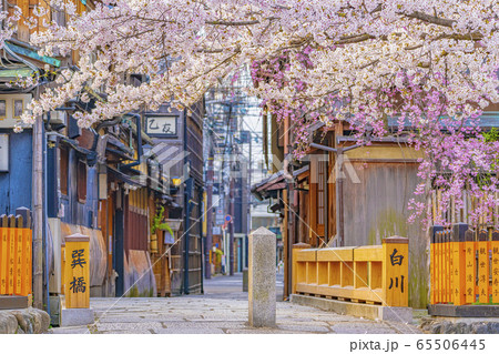 京都 春の祇園白川 巽橋　 65506445