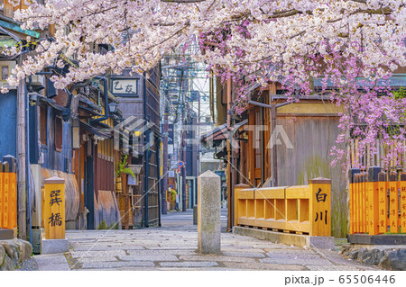 京都 春の祇園白川 巽橋　 65506446