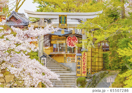 京都 春の地主神社  京都 春の地主神社  65507286