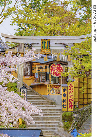 京都 春の地主神社 京都 春の地主神社 65507288