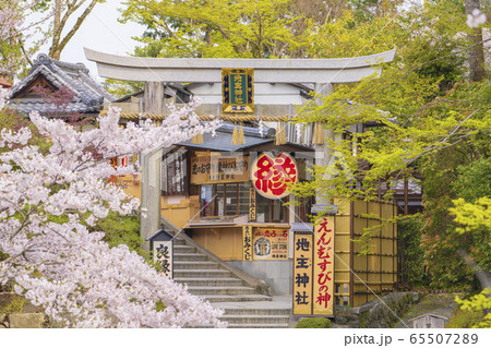 京都 春の地主神社 京都 春の地主神社 65507289
