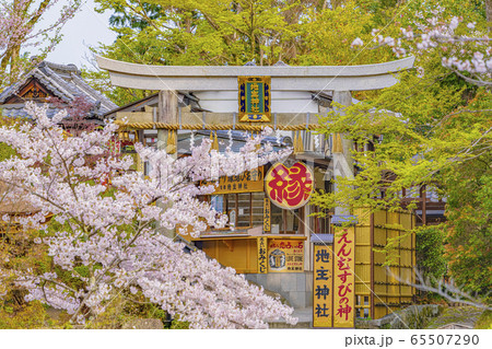 京都　春の地主神社　 65507290