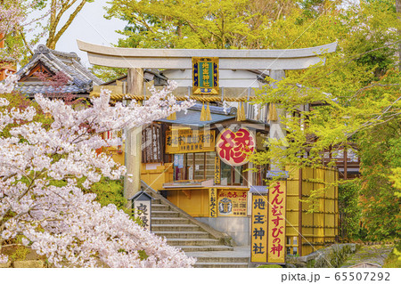 京都 春の地主神社 京都 春の地主神社 65507292
