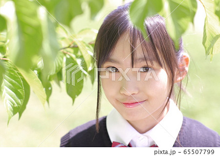 新緑バックの学生 初夏 新緑バックの学生 初夏 65507799