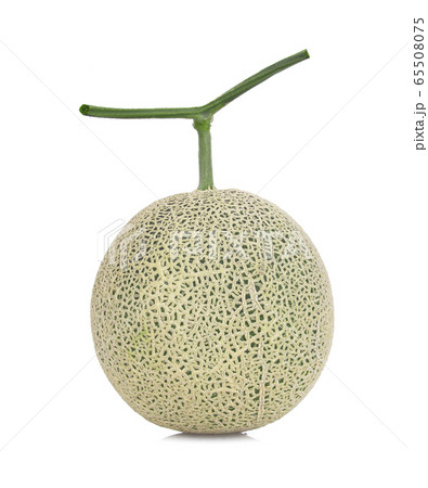 melon isolated on the white background. melon isolated on the white background. 65508075