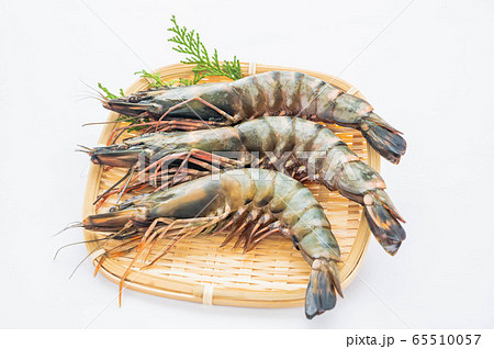 ブラックタイガー 65510057