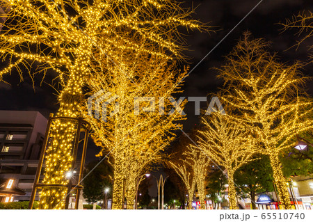 光が丘公園のイルミネーション　東京夜景 65510740