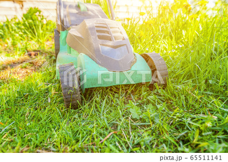Lawn mower cutting green grass in backyard Lawn mower cutting green grass in backyard 65511141