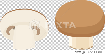 Illustration and material Mushroom Mushroom Autumn Cooking Vector 65511301