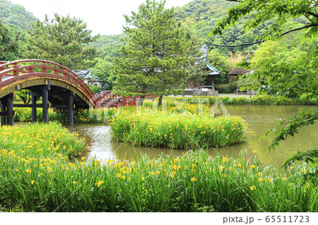 称名寺(初夏) 称名寺(初夏) 65511723