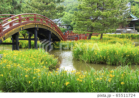 称名寺(初夏) 称名寺(初夏) 65511724