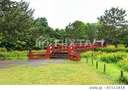 称名寺（初夏） 65511838