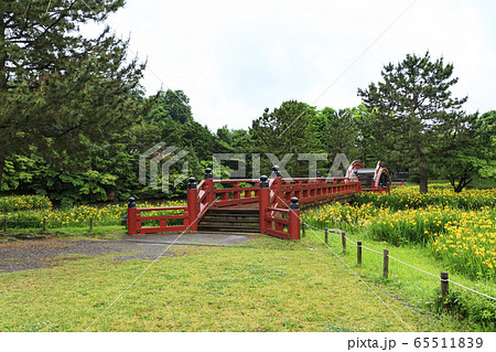 称名寺（初夏） 65511839